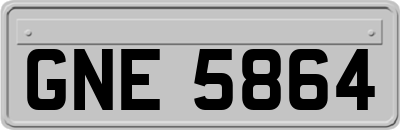 GNE5864