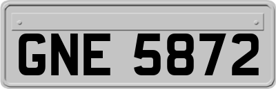 GNE5872