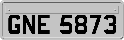 GNE5873