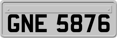 GNE5876
