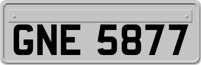 GNE5877