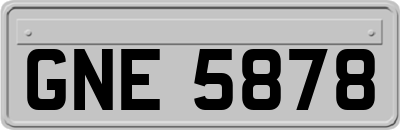 GNE5878