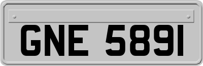 GNE5891
