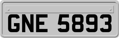 GNE5893