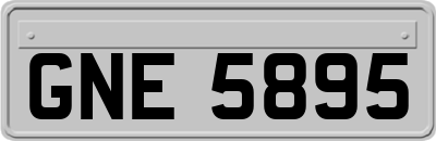 GNE5895