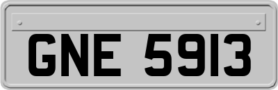 GNE5913