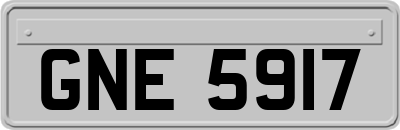GNE5917