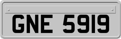GNE5919