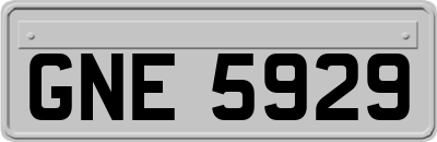 GNE5929