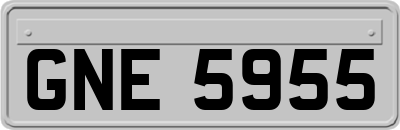 GNE5955