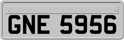 GNE5956