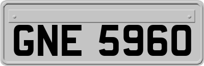 GNE5960
