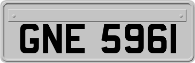 GNE5961