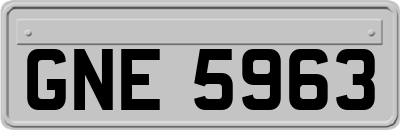 GNE5963