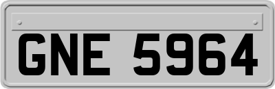 GNE5964