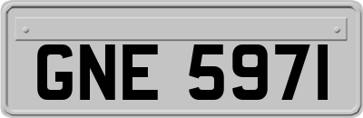 GNE5971