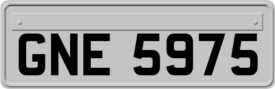 GNE5975