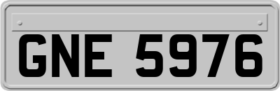 GNE5976