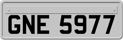 GNE5977