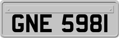 GNE5981