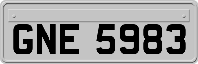 GNE5983