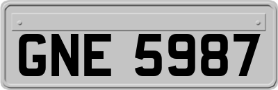GNE5987