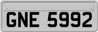 GNE5992