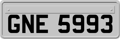 GNE5993