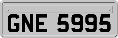 GNE5995