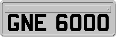 GNE6000