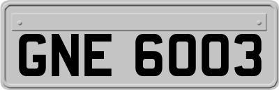 GNE6003