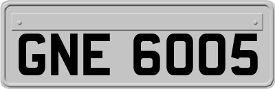 GNE6005