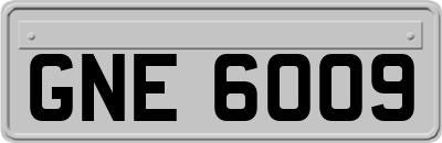 GNE6009