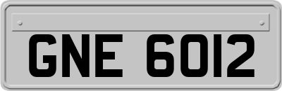 GNE6012