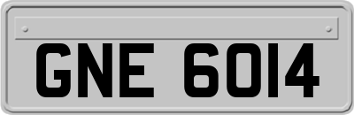 GNE6014