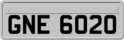 GNE6020