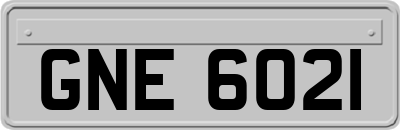 GNE6021