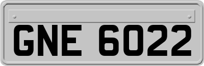 GNE6022