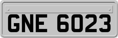 GNE6023