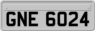GNE6024