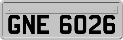 GNE6026