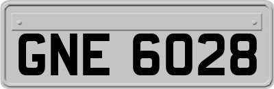 GNE6028