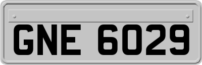 GNE6029