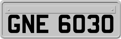 GNE6030
