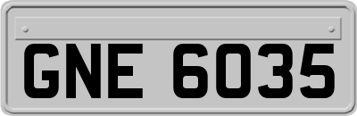 GNE6035