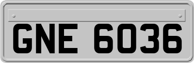 GNE6036