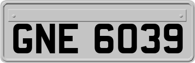 GNE6039