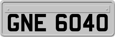 GNE6040