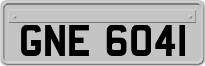 GNE6041