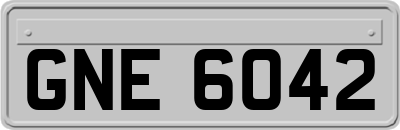 GNE6042